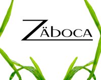 Zaboca ICT Enterprises