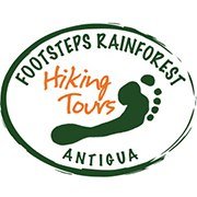 Footsteps Rainforest Hiking Tours