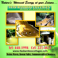 TIA'S BAMBOO COTTAGES.