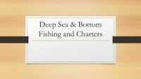 Deep Sea & Bottom Fishing Charters in Antigua.