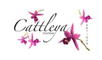 Cattleya