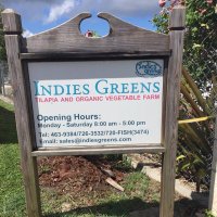 Indies Greens Organic Aquaponics Farm